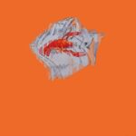 Naturaleza muerta con langosta